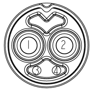 image-20250107-222246.png